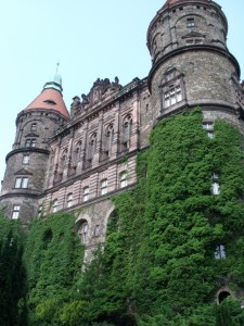 DSCF4081