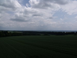 DSCF9217