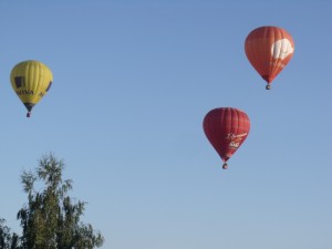 DSCF9350
