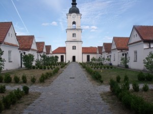 DSCF9433