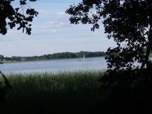 DSCF9444