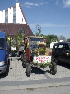 DSCF9464