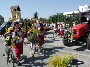 DSCF9487