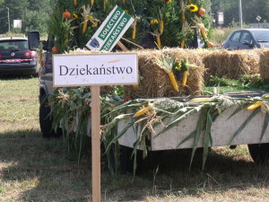 DSCF9511