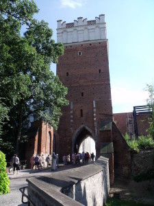 DSCF9804