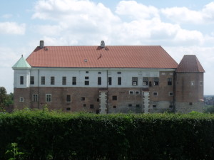 DSCF9864