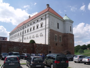 DSCF9869