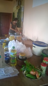 WP_20160818_003