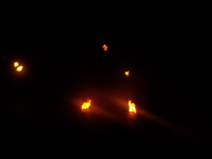 dscf0128