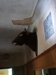 20220910_084407