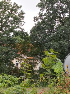 20220910_151755_HDR