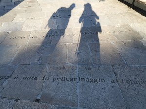 IMG_20220819_092758